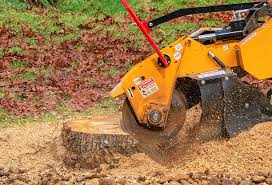 Lawn Drainage Solutions in Martha Lake, WA
